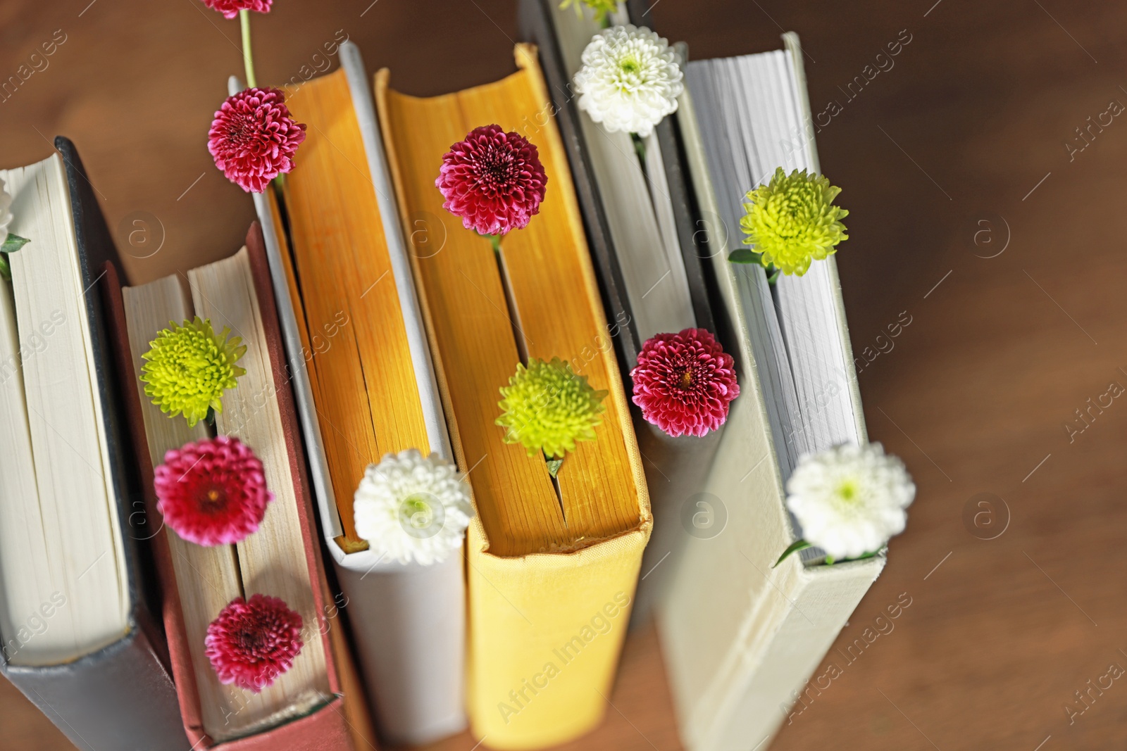 Photo of Different books with beautiful flowers on blurred background, closeup