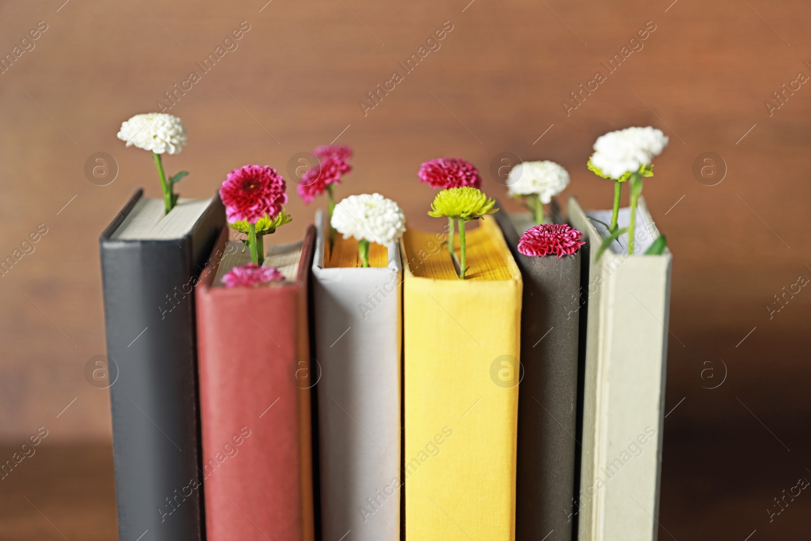 Photo of Different books with beautiful flowers on blurred background, closeup