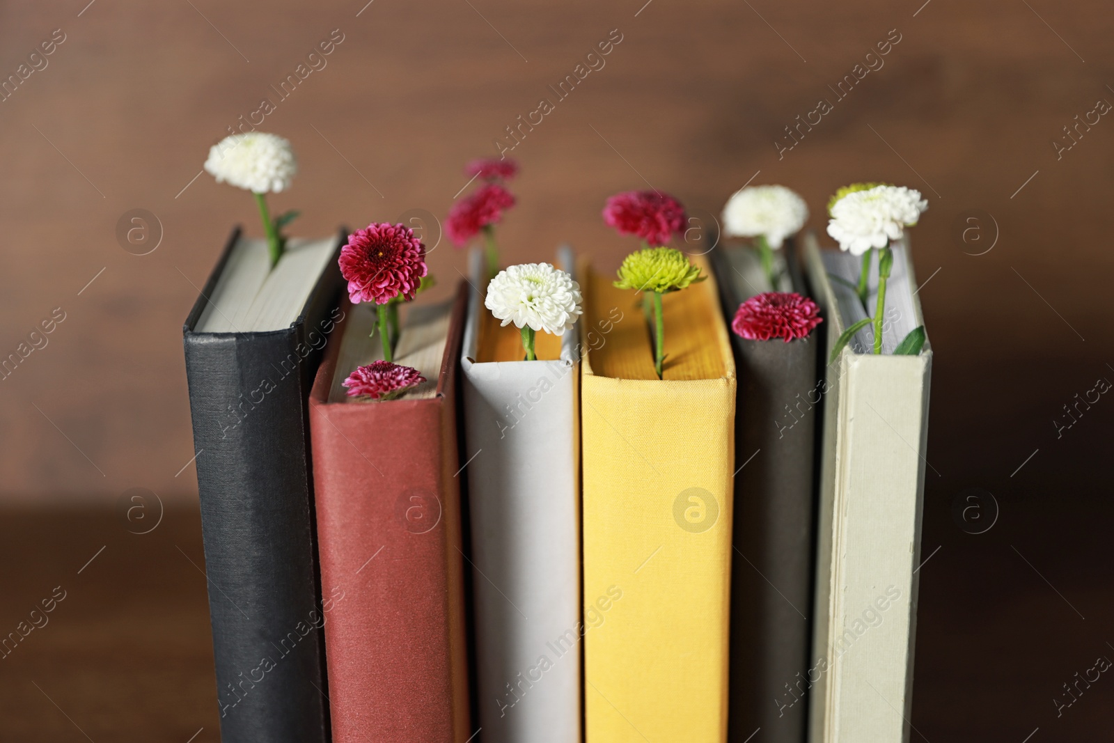 Photo of Different books with beautiful flowers on blurred background, closeup