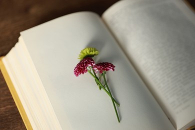 Photo of Open book with beautiful flower on wooden table, closeup