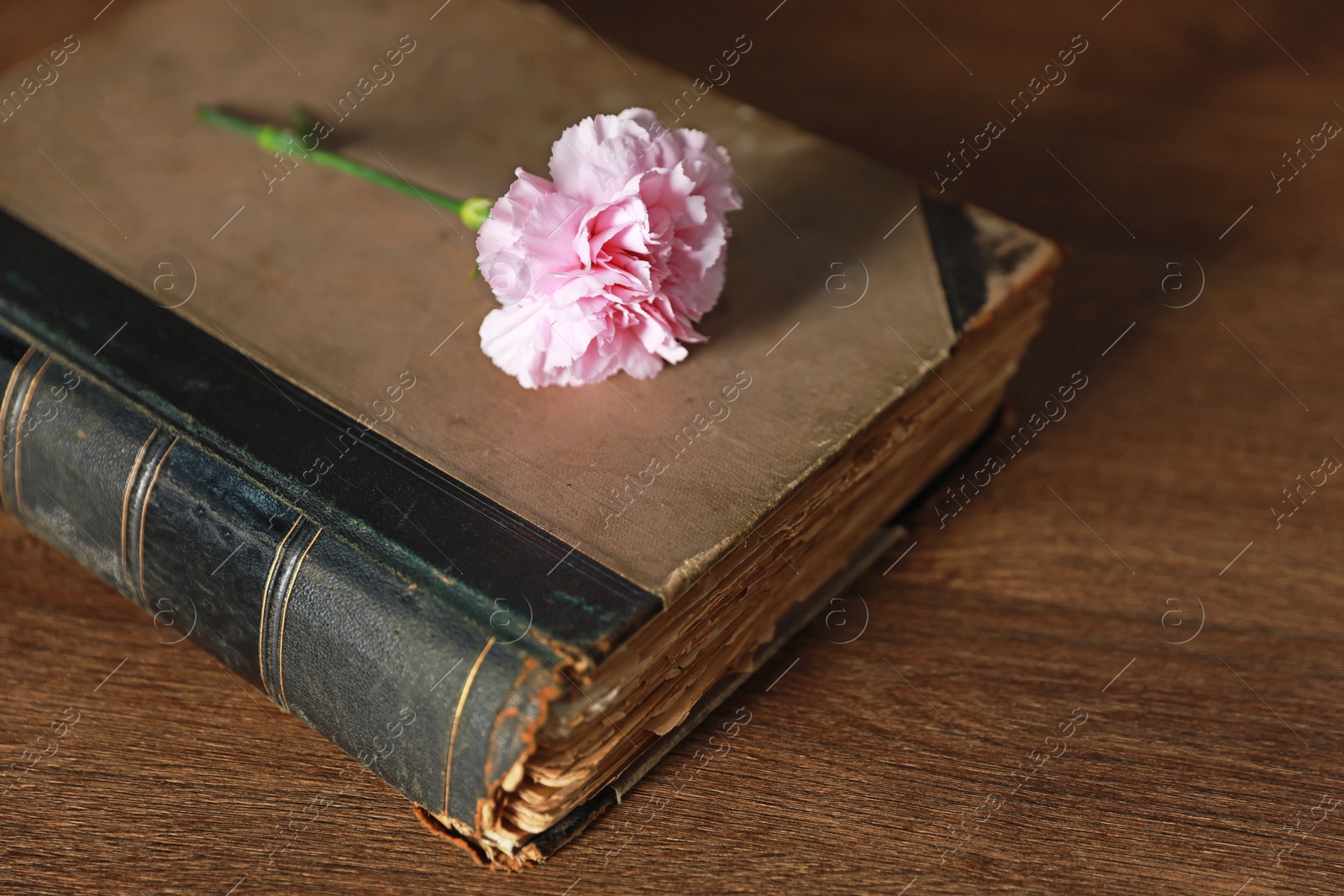 Photo of Book and beautiful flower on wooden table, closeup