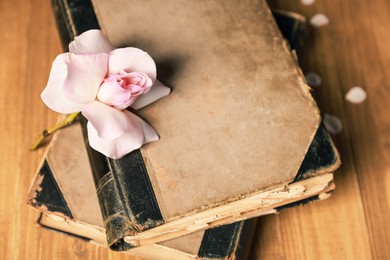 Photo of Books and beautiful flower on wooden table, closeup