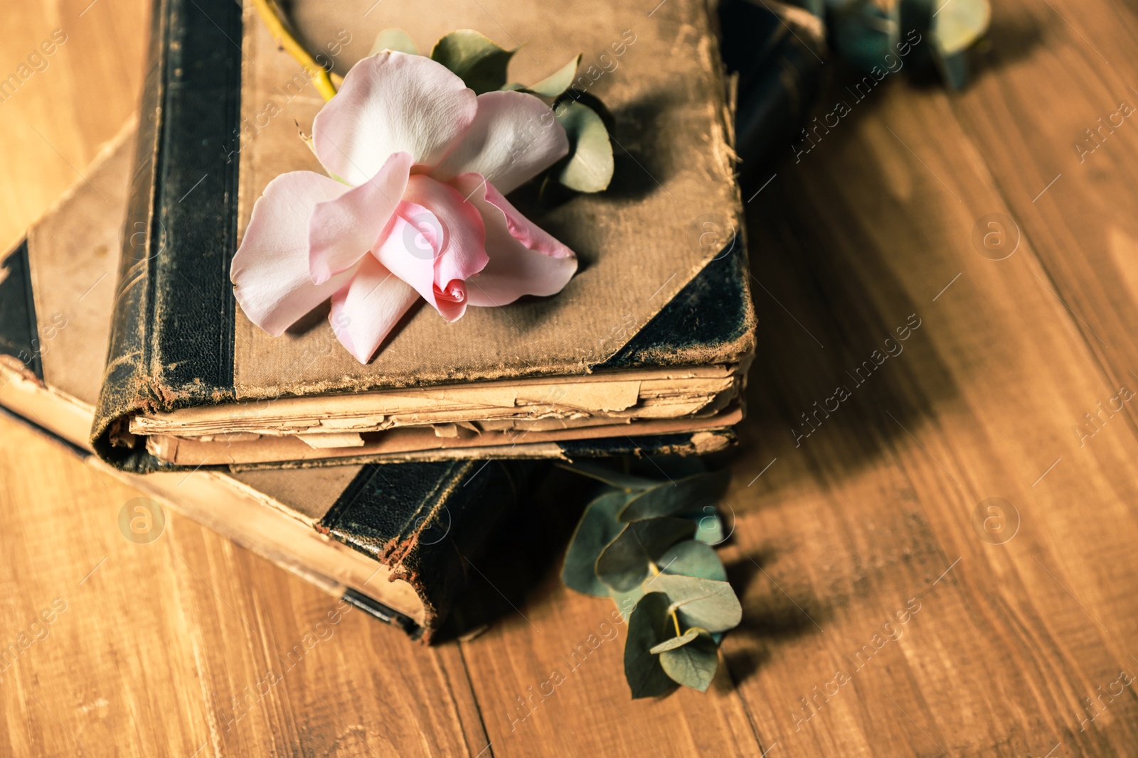 Photo of Books, eucalyptus branches and beautiful flower on wooden table, closeup