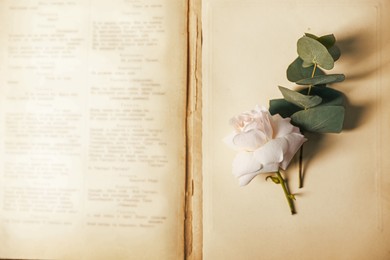 Photo of Beautiful flower bud and eucalyptus branch on open book, top view