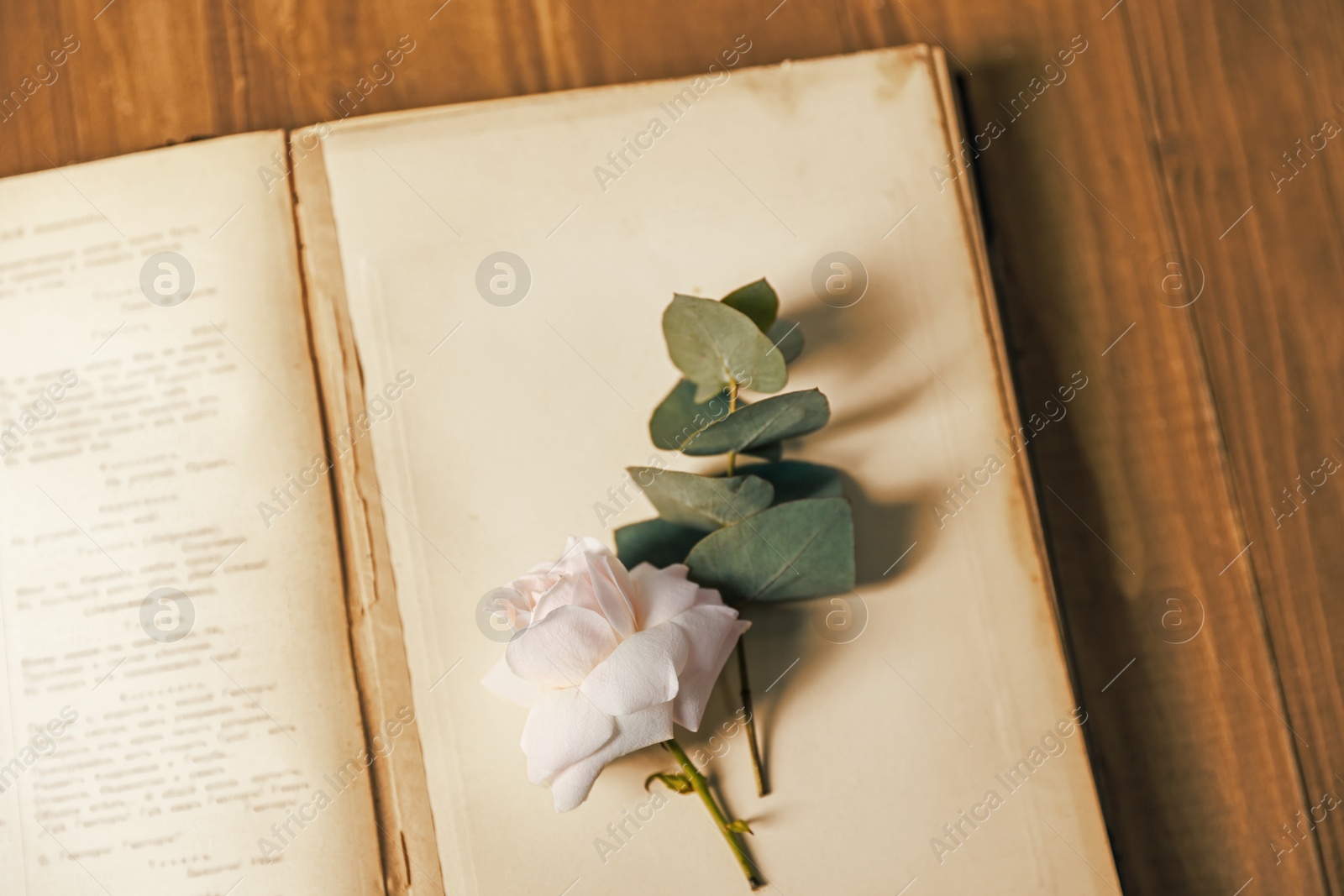 Photo of Open book with beautiful flower bud and eucalyptus branch on wooden table, top view