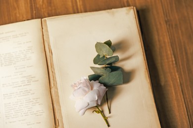 Photo of Open book with beautiful flower bud and eucalyptus branch on wooden table, top view