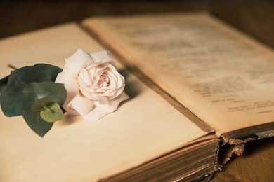 Photo of Open book with beautiful flower bud and eucalyptus branch on wooden table, closeup