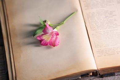 Photo of Open book with beautiful flower on table, closeup