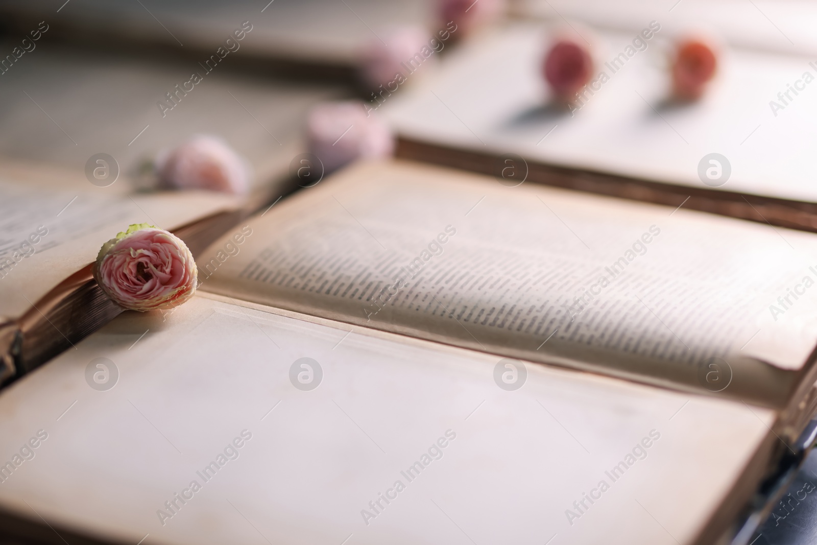 Photo of Open books and beautiful flowers on table, closeup