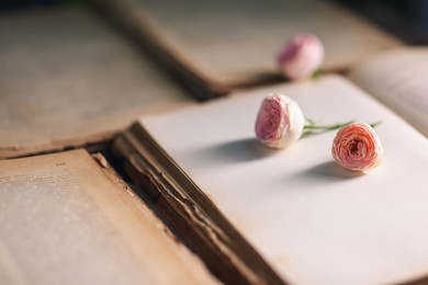 Photo of Open books and beautiful flowers, closeup view