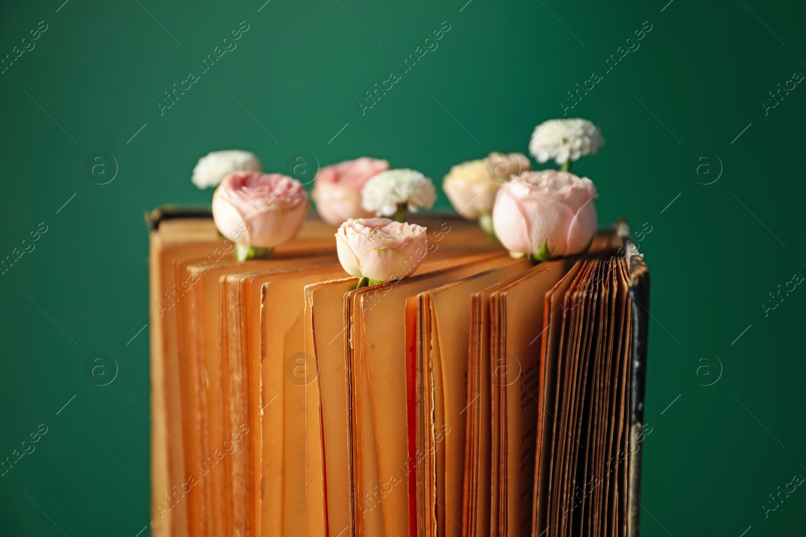 Photo of Book with beautiful flowers against green background, closeup