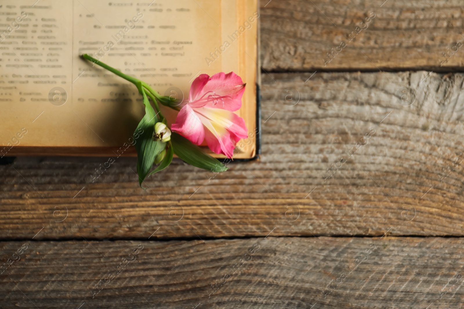 Photo of Book with beautiful flower on wooden table, top view. Space for text