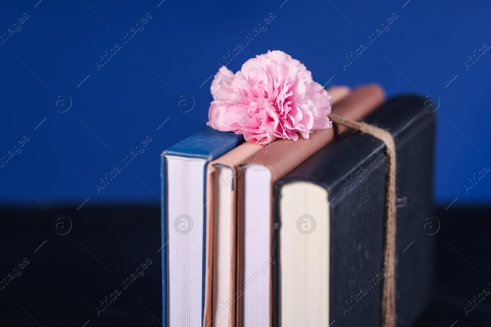 Photo of Books and beautiful flower against blue background, closeup. Space for text