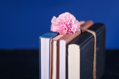 Books and beautiful flower against blue background, closeup. Space for text