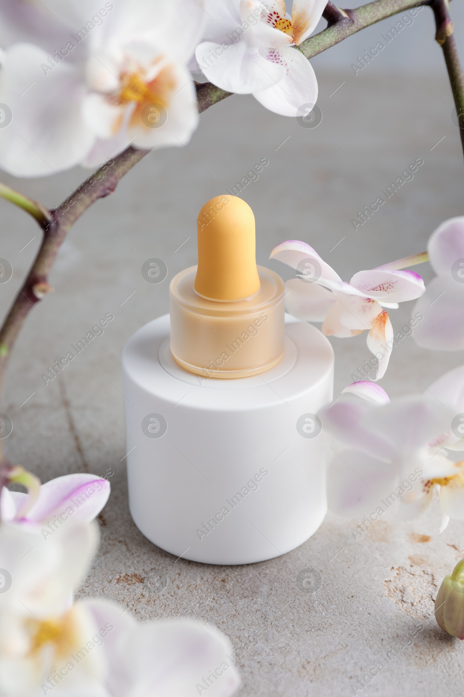 Photo of Bottle of skin care product and orchid flowers on gray textured surface