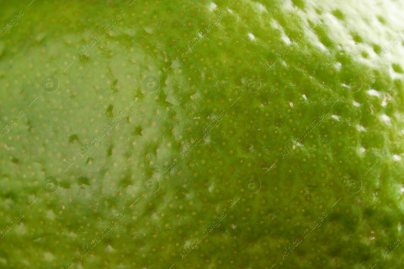 Photo of Fresh lime zest as background, macro view