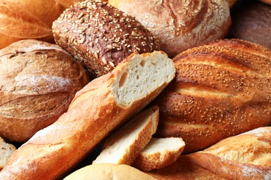 Photo of Whole and cut loafs of bread on table, closeup