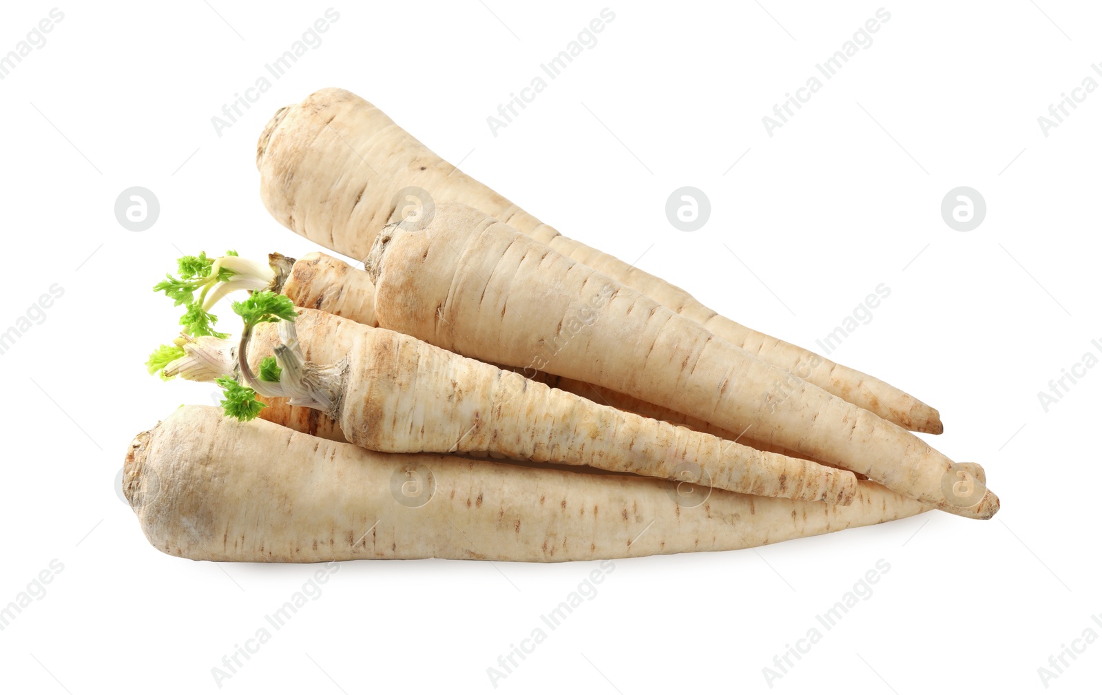 Photo of Many fresh parsley roots isolated on white