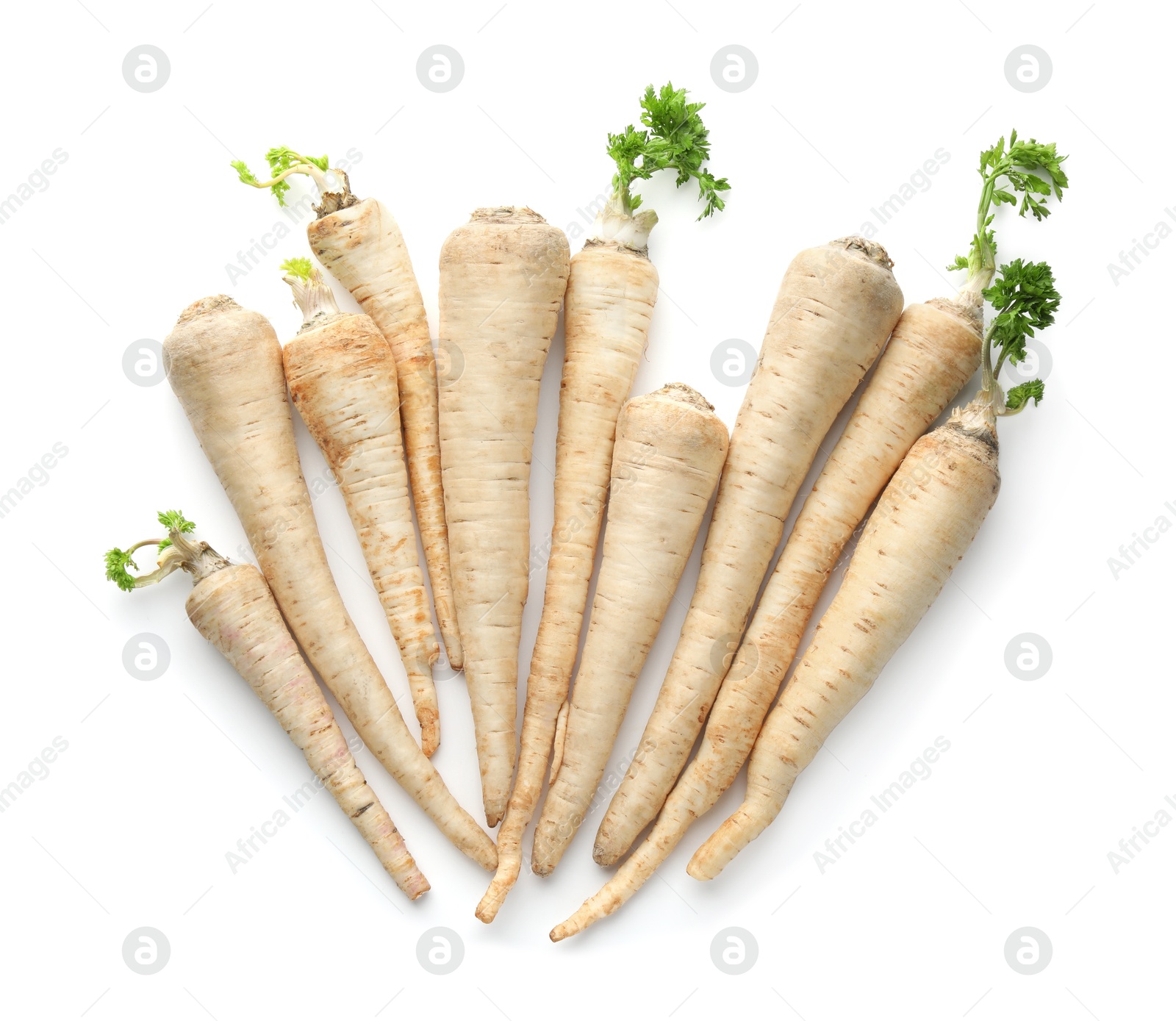 Photo of Many fresh parsley roots isolated on white, top view