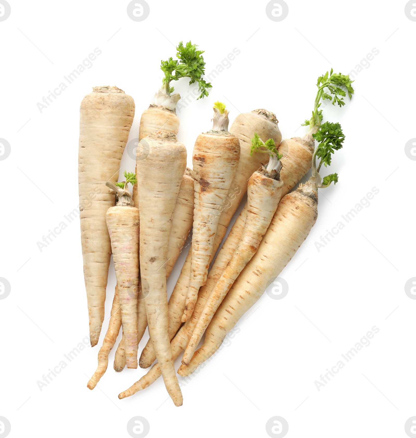 Photo of Many fresh parsley roots isolated on white, top view