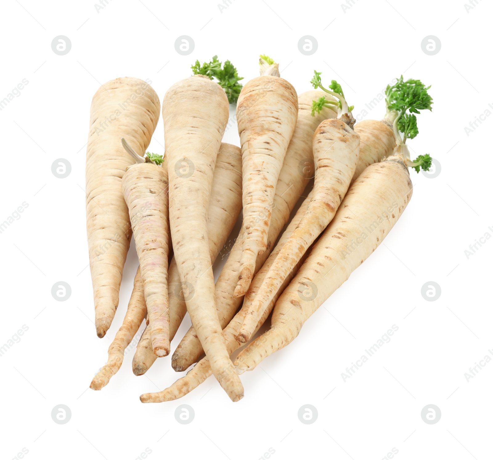 Photo of Many fresh parsley roots isolated on white