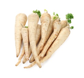 Photo of Many fresh parsley roots isolated on white