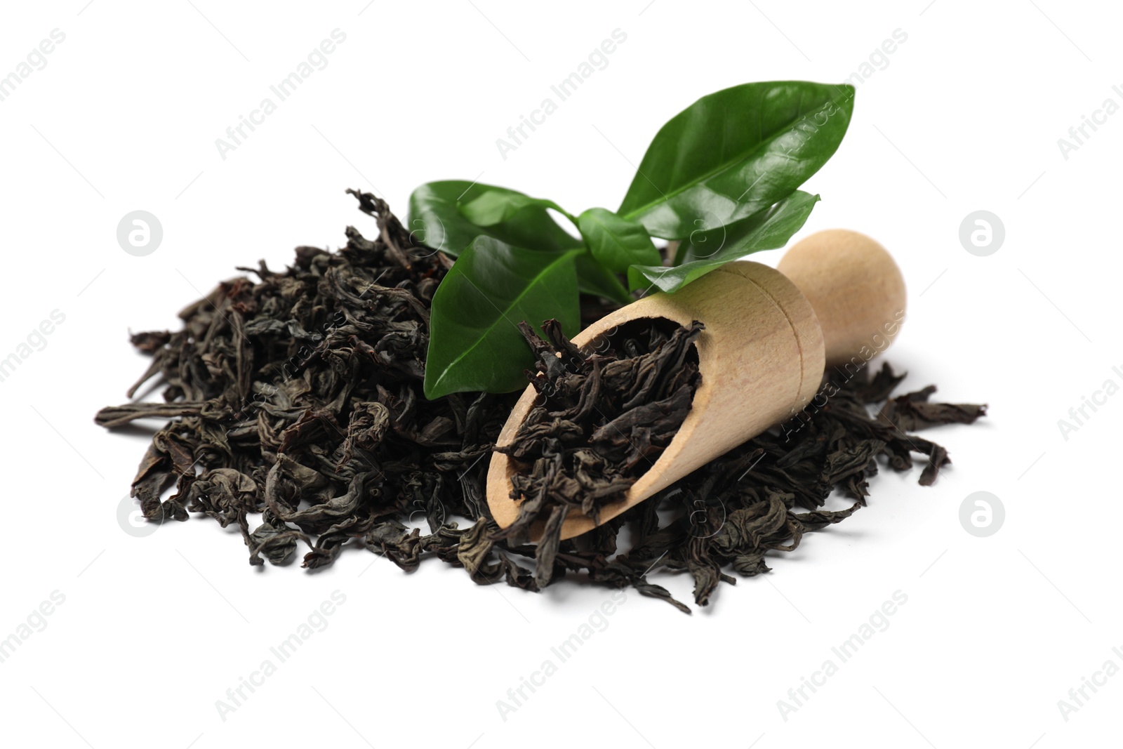 Photo of Dried and fresh tea leaves with scoop isolated on white