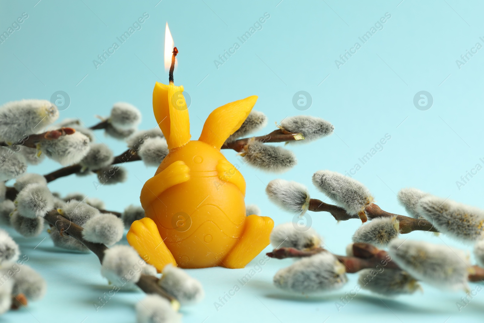 Photo of Beautiful burning candle and pussy willow on light blue background, closeup. Easter decor