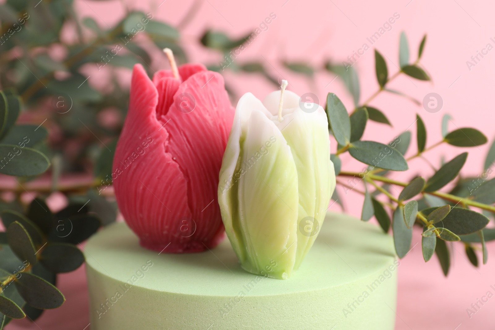 Photo of Beautiful flower shaped candles and leaves on pink background, closeup