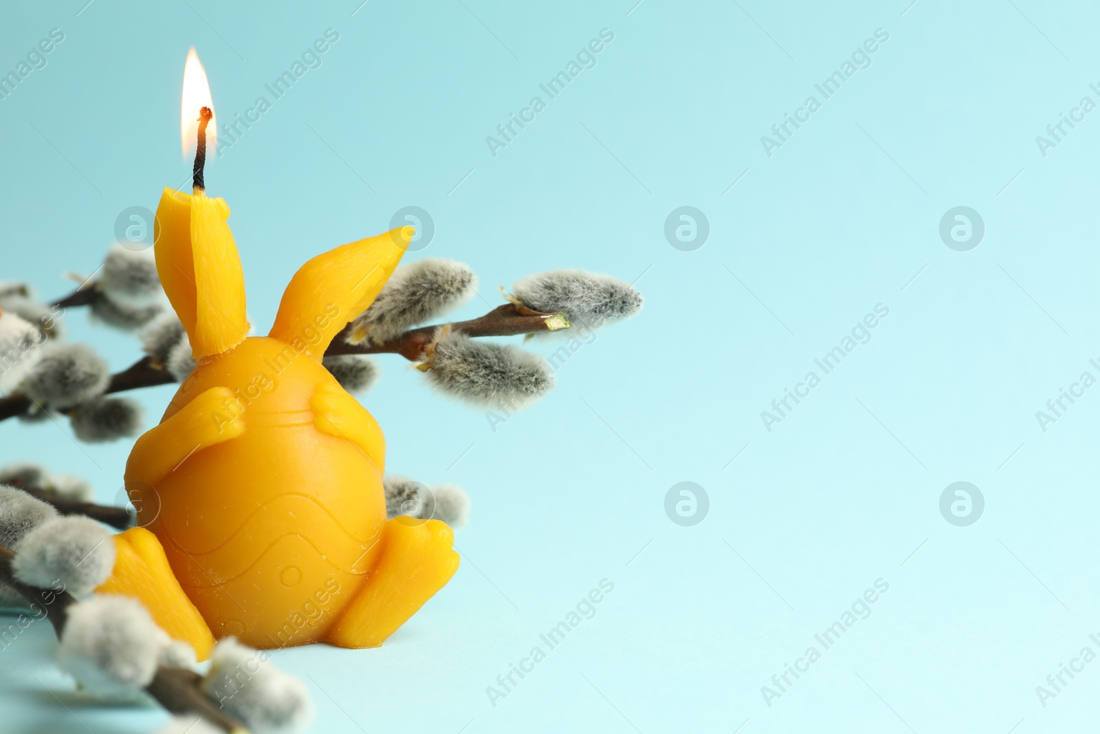 Photo of Beautiful burning candle and pussy willow on light blue background, closeup with space for text. Easter decor