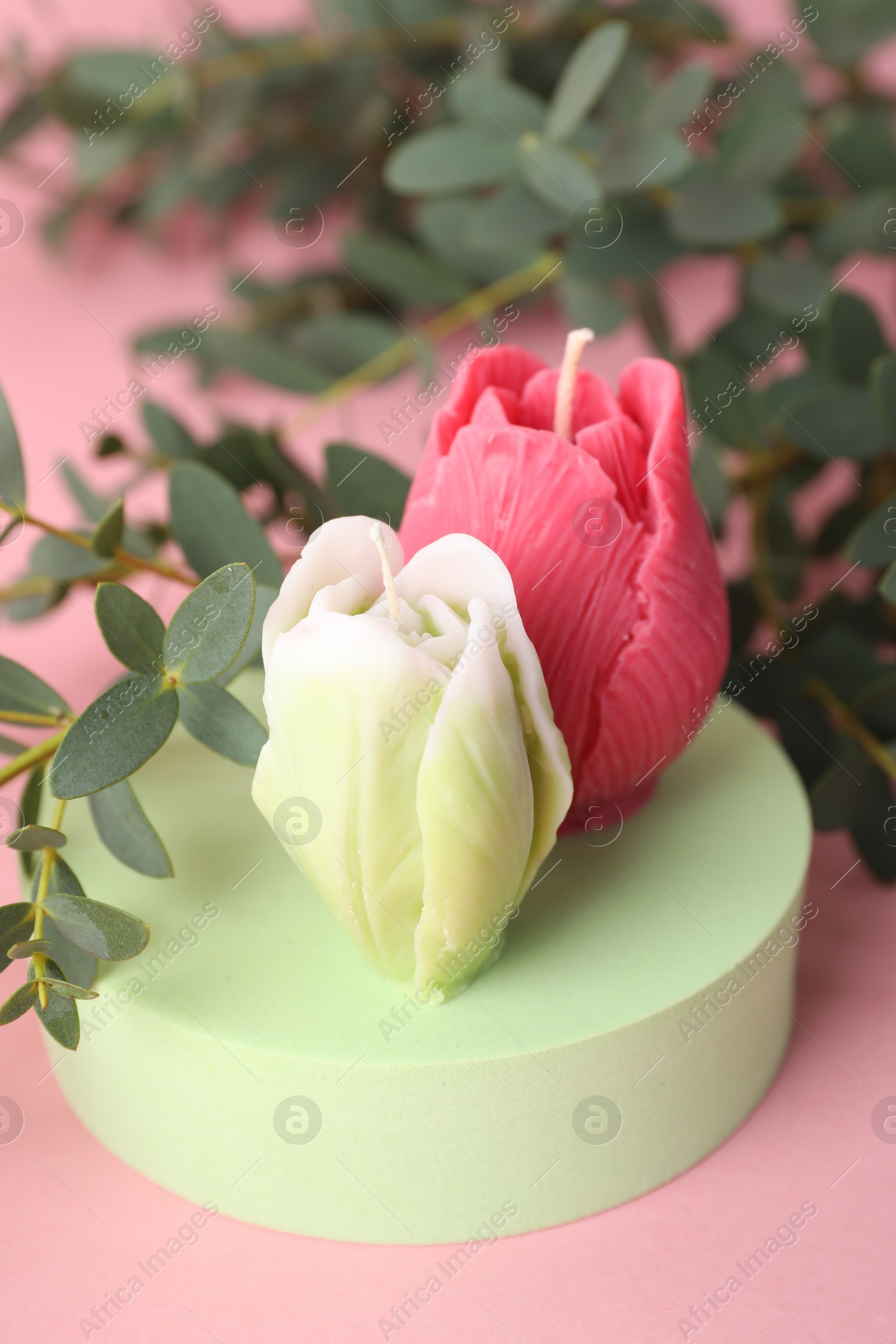 Photo of Beautiful flower shaped candles and leaves on pink background, closeup