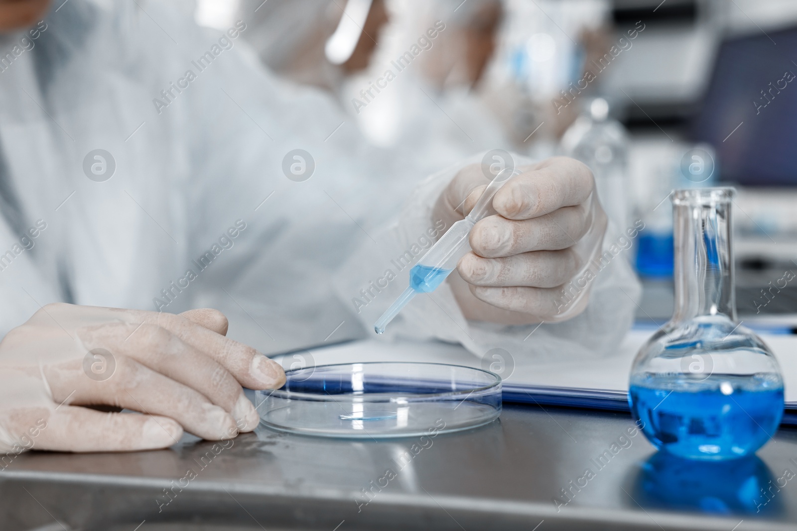 Photo of Scientist dripping sample into Petri dish at table in laboratory, closeup