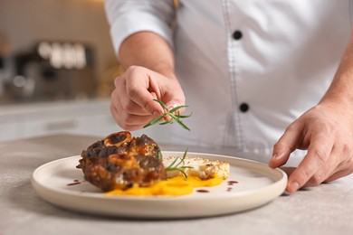 Photo of Professional chef serving dish at table indoors, closeup