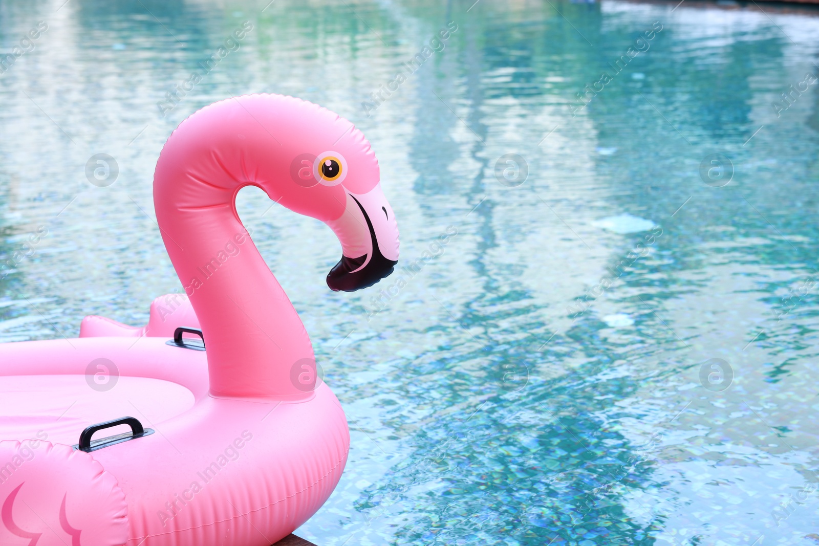 Photo of Inflatable float in shape of flamingo near outdoor swimming pool