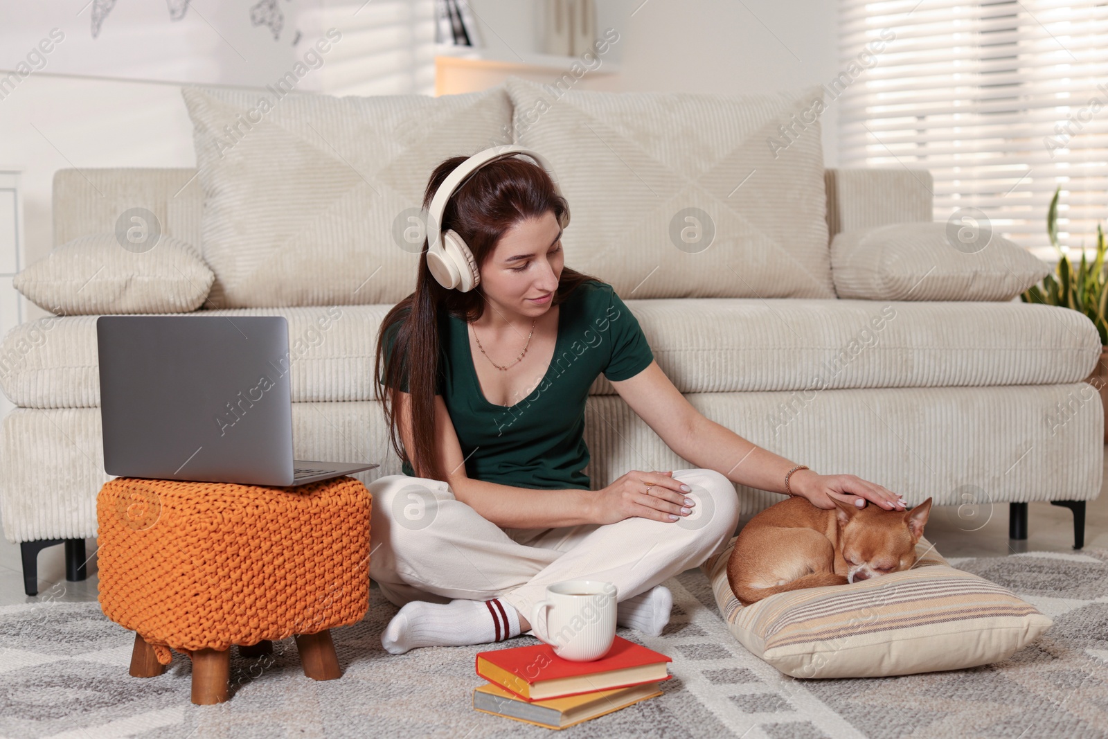 Photo of Young woman working on laptop while her cute dog sleeping beside at home