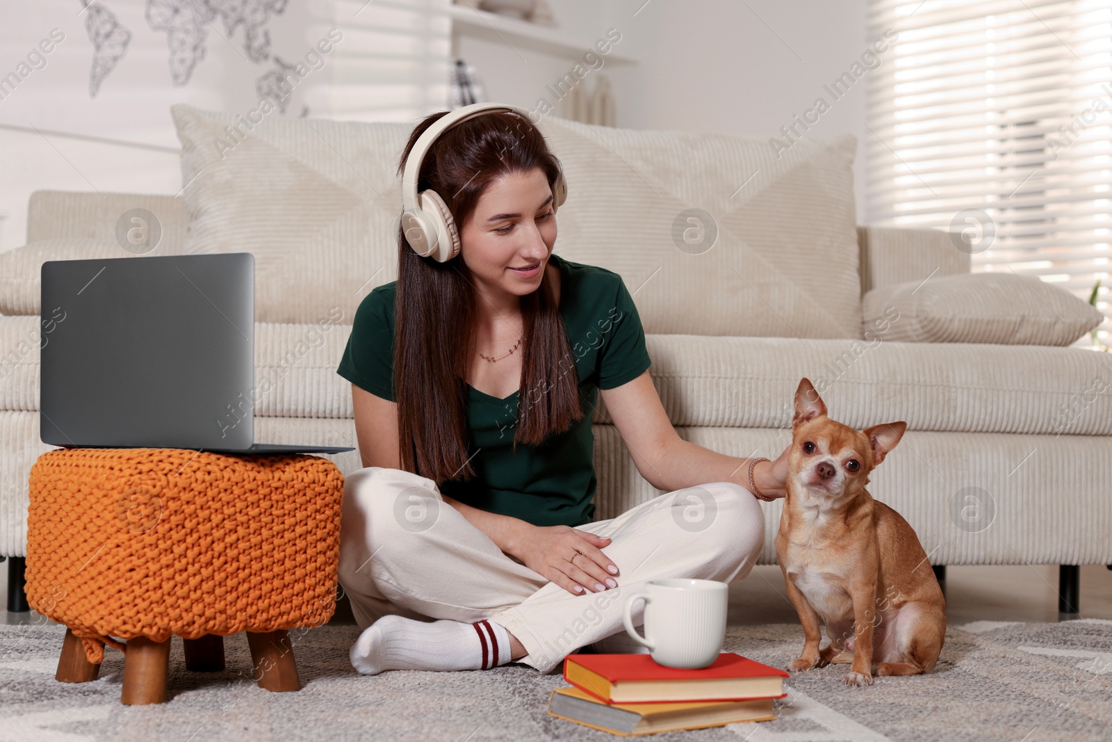 Photo of Young woman with her cute dog working on laptop at home