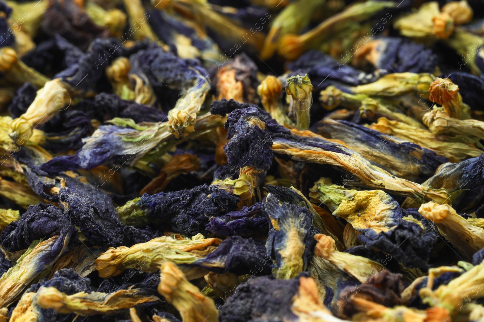 Photo of Butterfly pea flower tea. Dry Clitoria ternatea petals as background, closeup