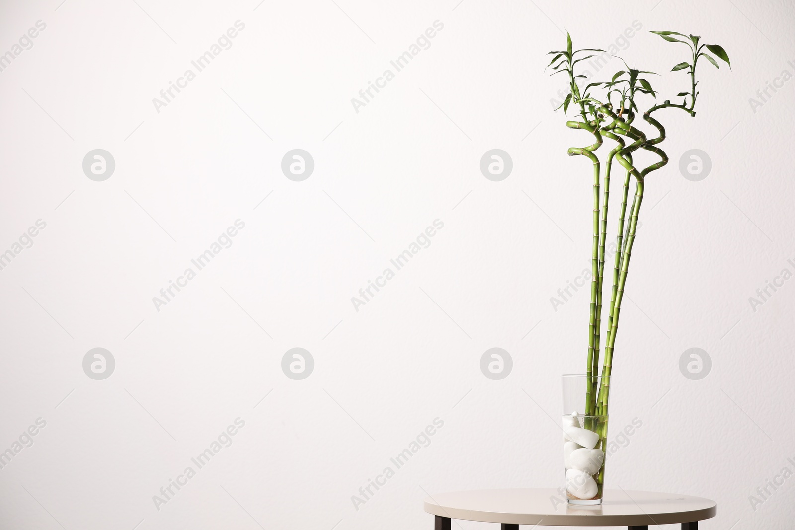 Photo of Decorative green bamboo stems in vase on table against white background, space for text