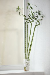 Photo of Decorative green bamboo stems in vase on windowsill indoors