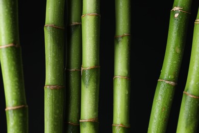 Photo of Wet green bamboo stems on black background, closeup