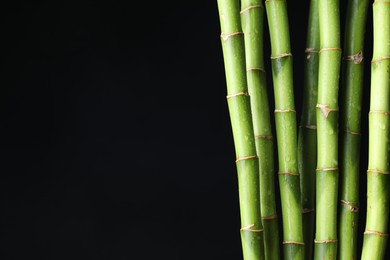 Photo of Wet green bamboo stems on black background, closeup. Space for text