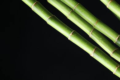 Photo of Wet green bamboo stems on black background, closeup. Space for text