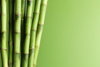 Photo of Wet bamboo stems on light green background, closeup. Space for text