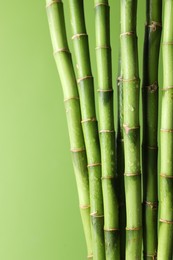 Photo of Wet bamboo stems on light green background, closeup