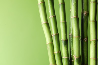 Photo of Wet bamboo stems on light green background, closeup. Space for text