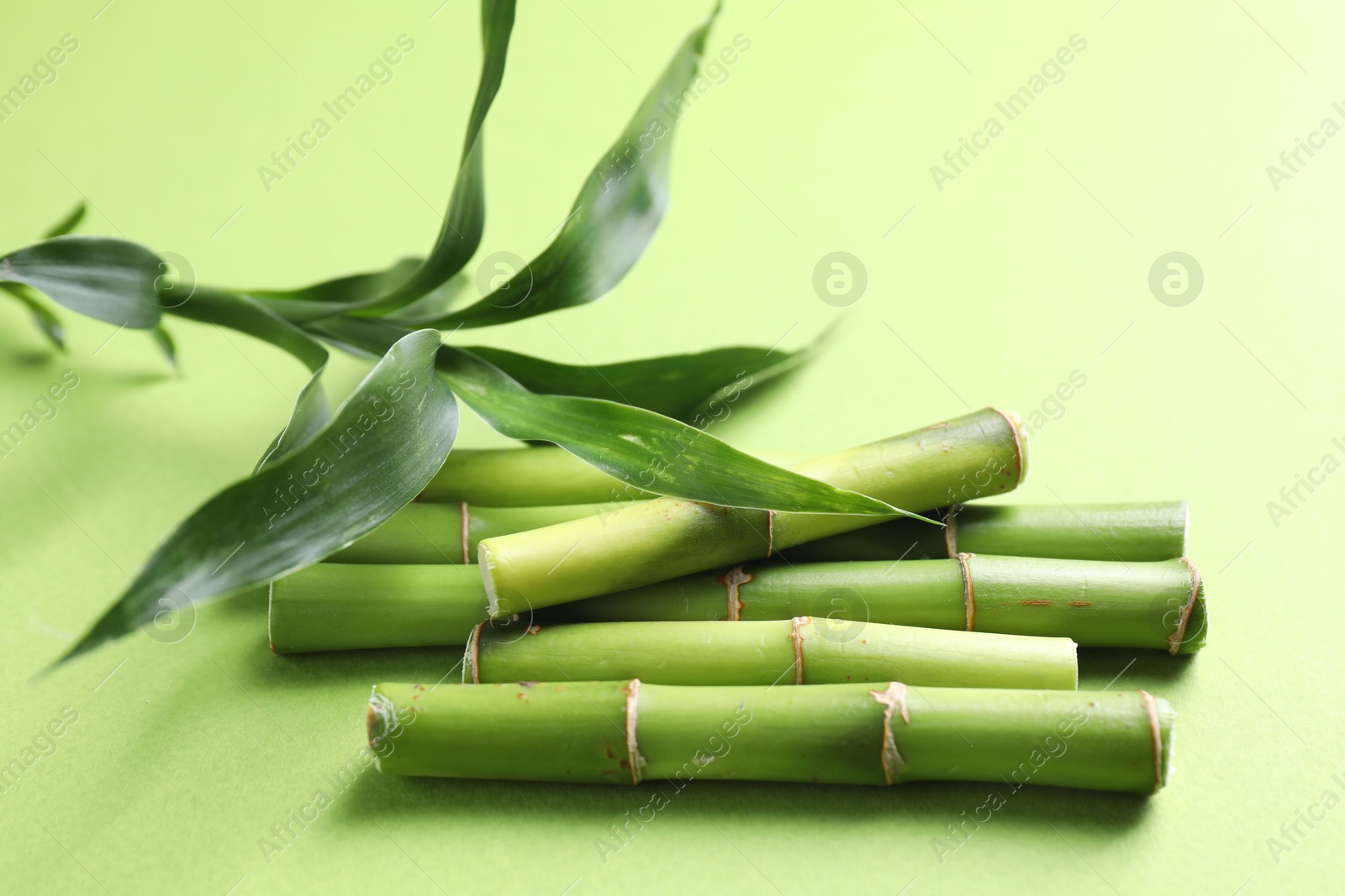 Photo of Cut bamboo stems and leaves on light green background, closeup