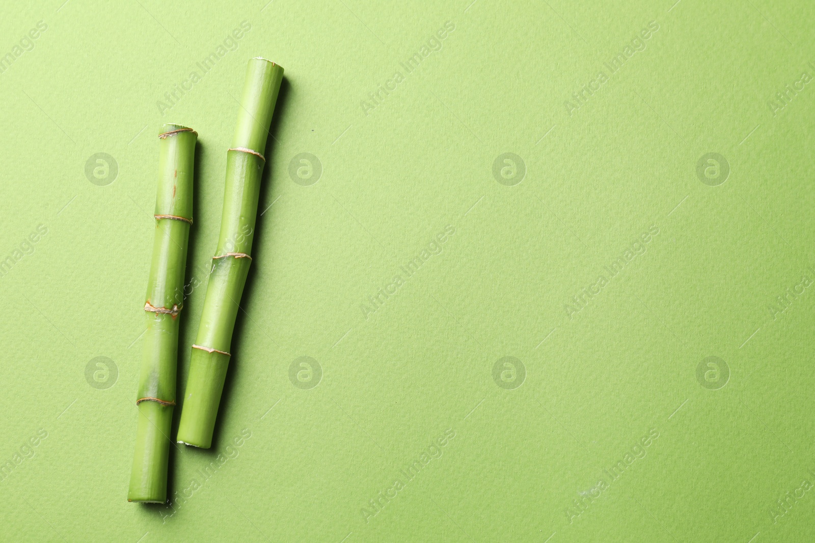 Photo of Cut bamboo stems on light green background, flat lay. Space for text