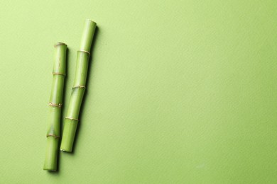 Photo of Cut bamboo stems on light green background, flat lay. Space for text