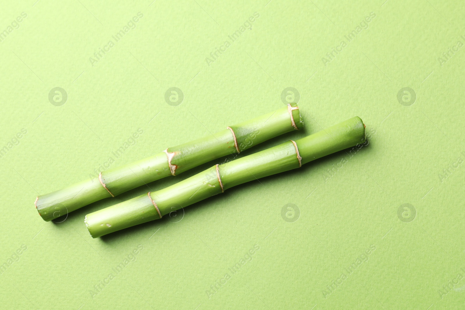 Photo of Cut bamboo stems on light green background, flat lay