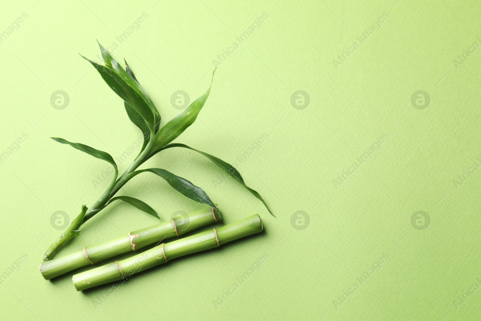 Photo of Cut bamboo stems and leaves on light green background, flat lay. Space for text